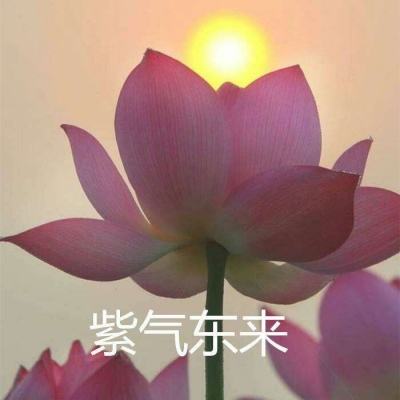 迪士尼王国破坏者游戏(disney realm)下载